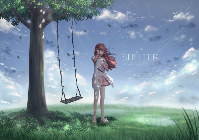 Shelter rin