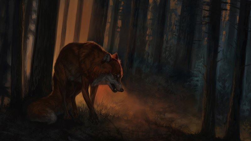 Wildspiritwolf рыжий волк