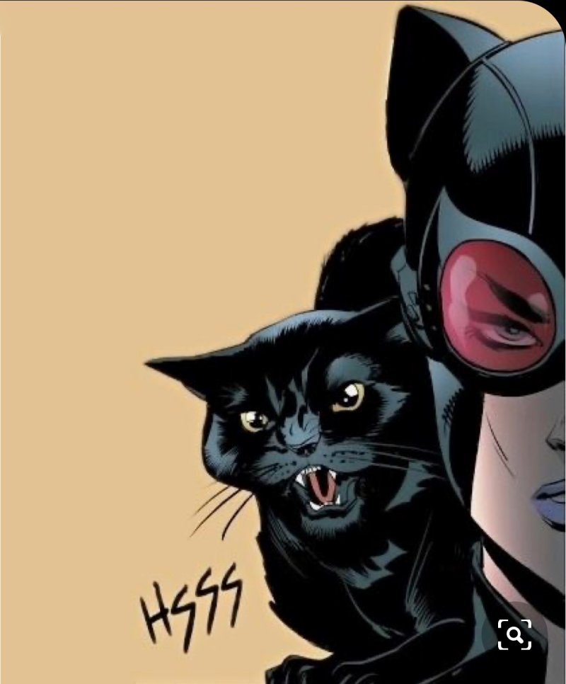 Batman catwoman