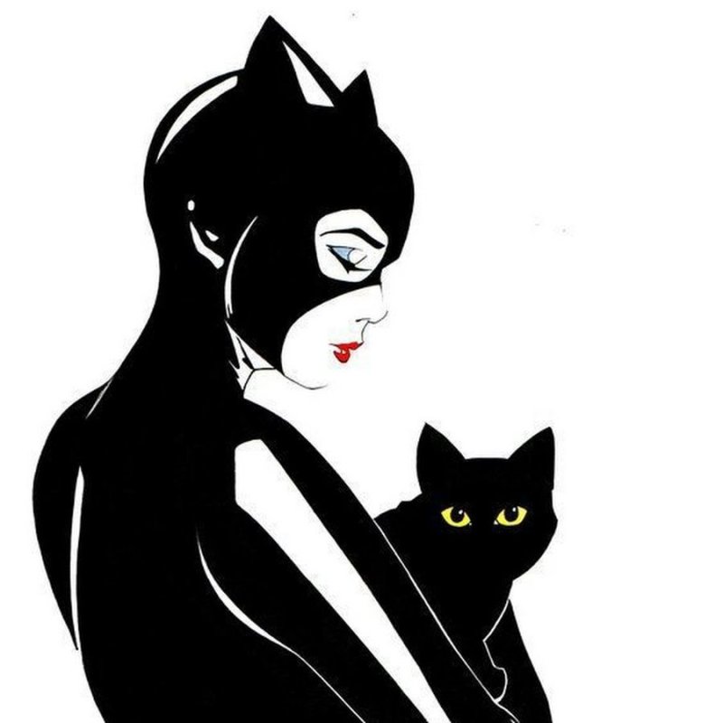 Catwoman bruce timm