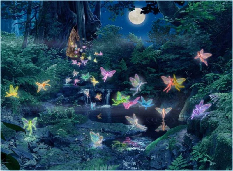 Fairy land