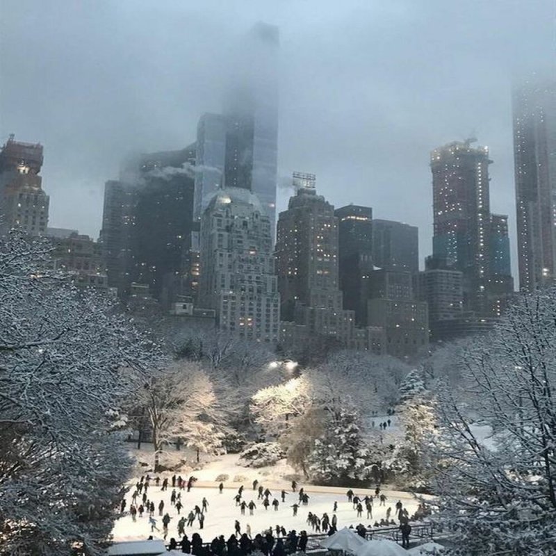 Центральный парк нью йорк зимой