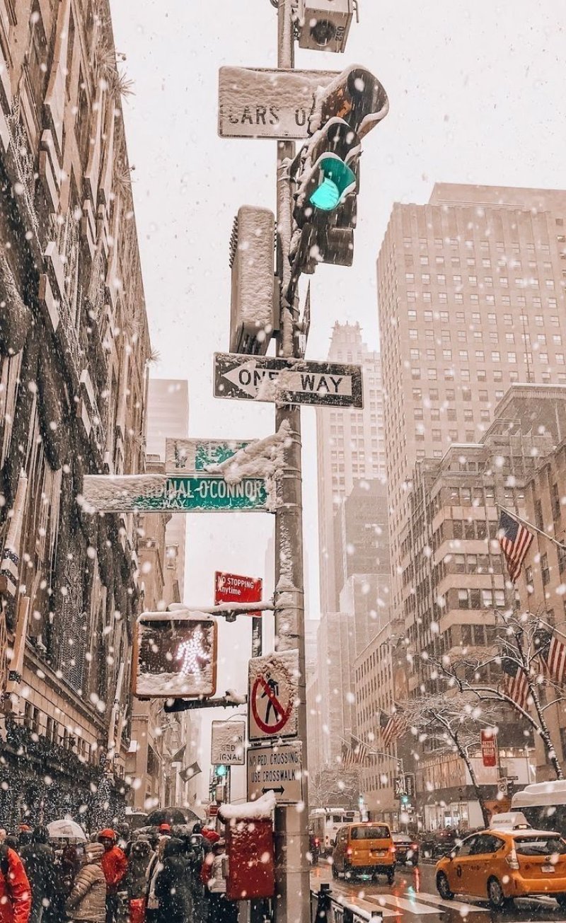 New york winter