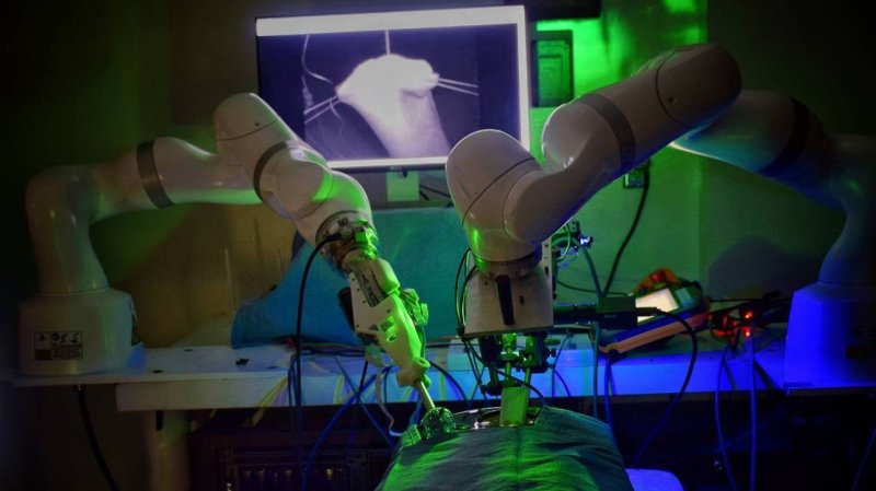 Smart tissue autonomous robot