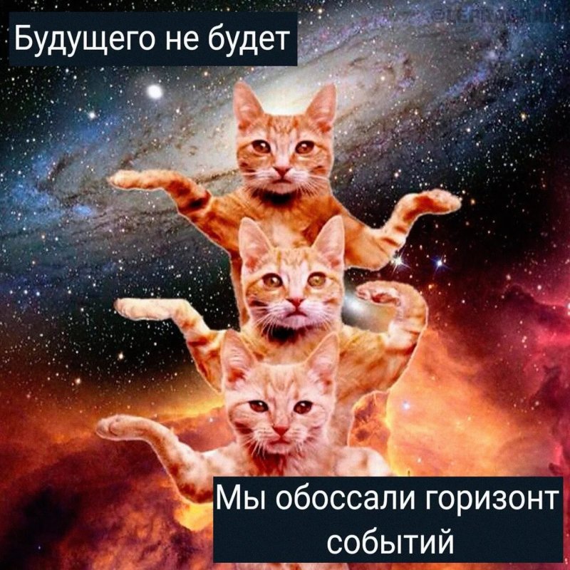 Космос кот