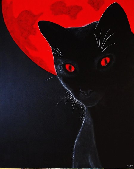 Черная кошка