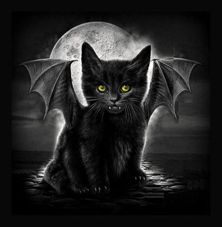 Кот летучая мышь