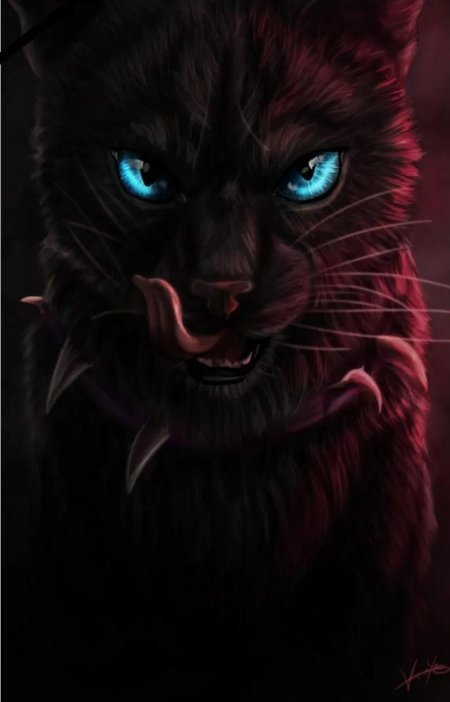 Коты воители бич