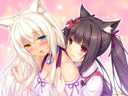 Nekopara vol 2