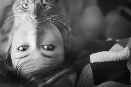 Котик