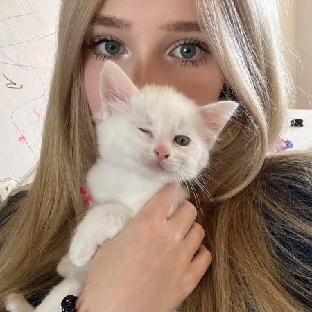 Девушка с котиком