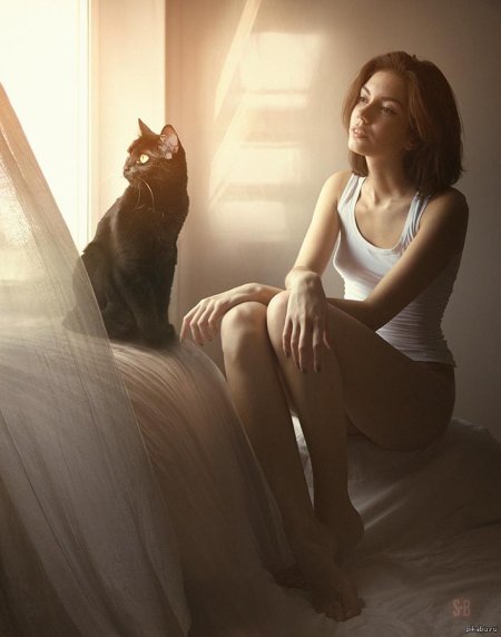 Фотосессия с кошкой