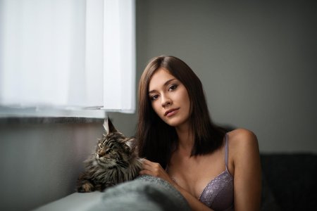 Женщина кот