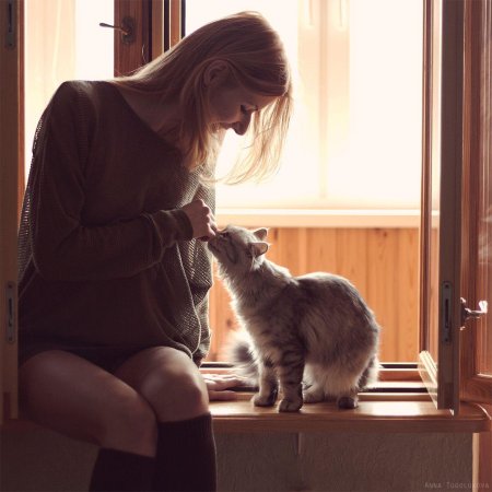 Кот девушка