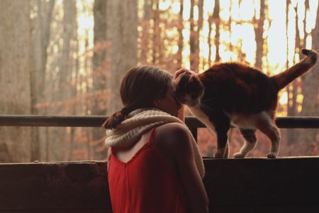 Девушка кот