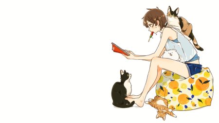 Кот аниме