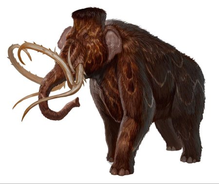 Wooly mammoth