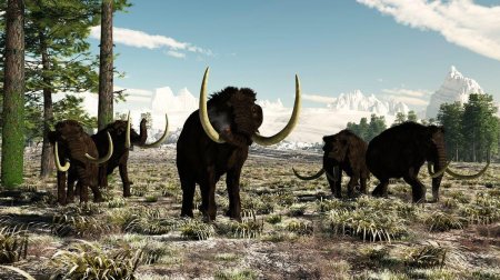 Woolly mammoth