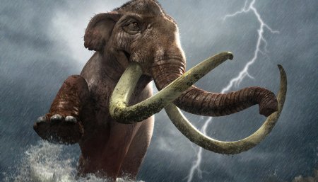 Mammuthus meridionalis
