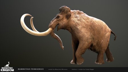 Шерстистый мамонт (mammuthus primigenius)