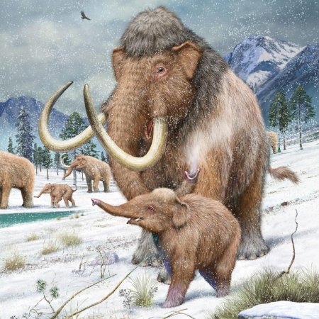 Шерстистый мамонт (woolly mammoth)