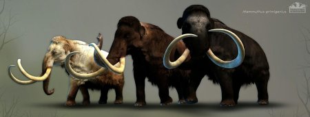Мамонт mammuthus primigenius