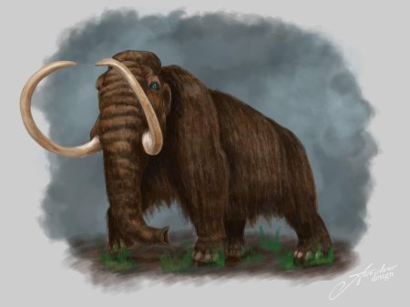 Сибирский шерстистый мамонт