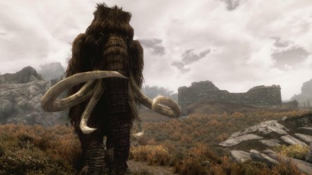 Skyrim mammoth
