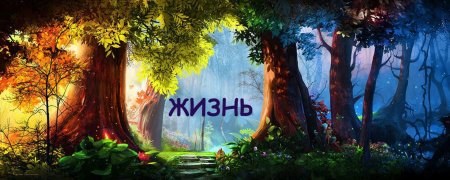 Сказочные леса