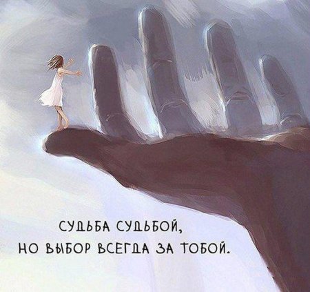 Судьба выбора