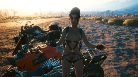 Панам палмер cyberpunk 2077