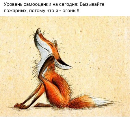 Хитрая лиса рисунок