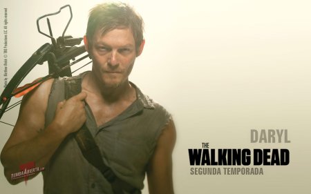The walking dead daryl dixon