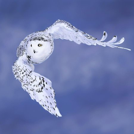 Полярная сова птица