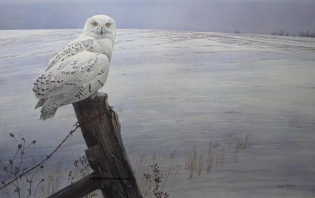 Художник: роберт бейтман (robert bateman)