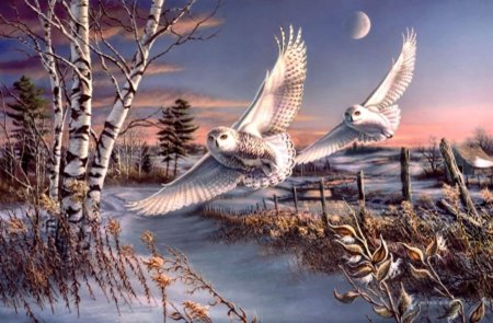 Художник james meger