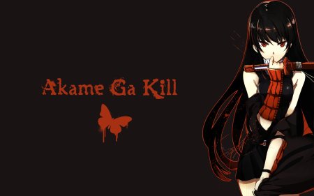 Akame ga kill akame