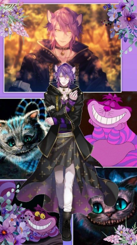 The fate of wonderland чешир