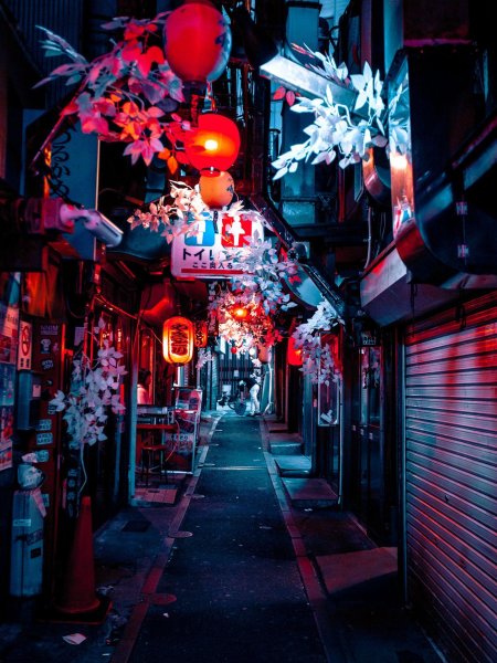 Tokyo night