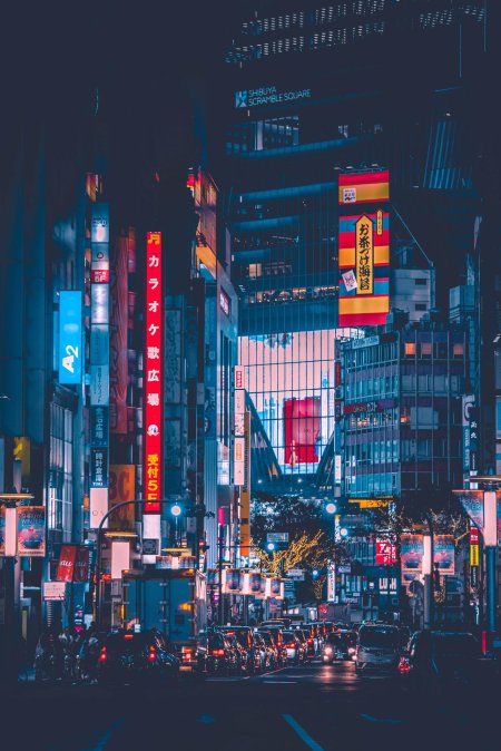 Tokyo night