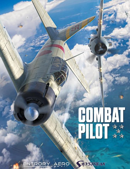 Combat pilot