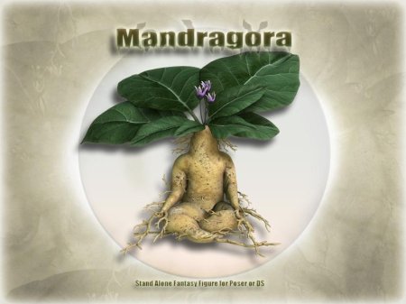 Мандрагора гарри поттер