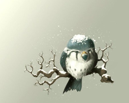 Птица минимализм