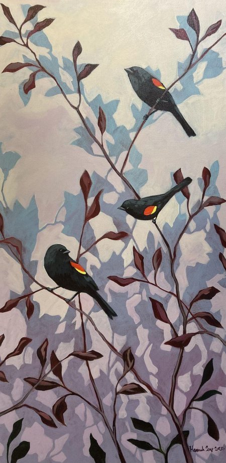 Red winged blackbird