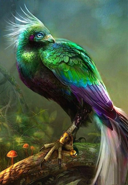 Фантастическая птица