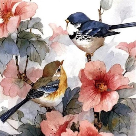 Художник carolyn shores акварель птицы