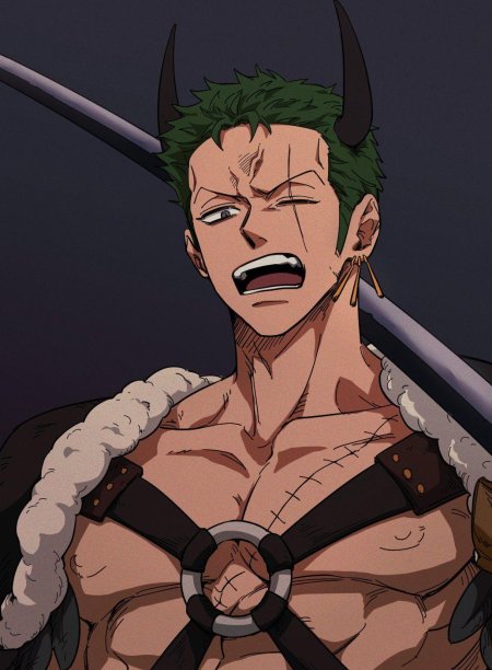 One piece roronoa zoro
