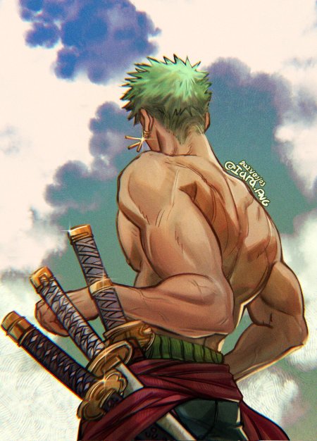 One piece roronoa zoro
