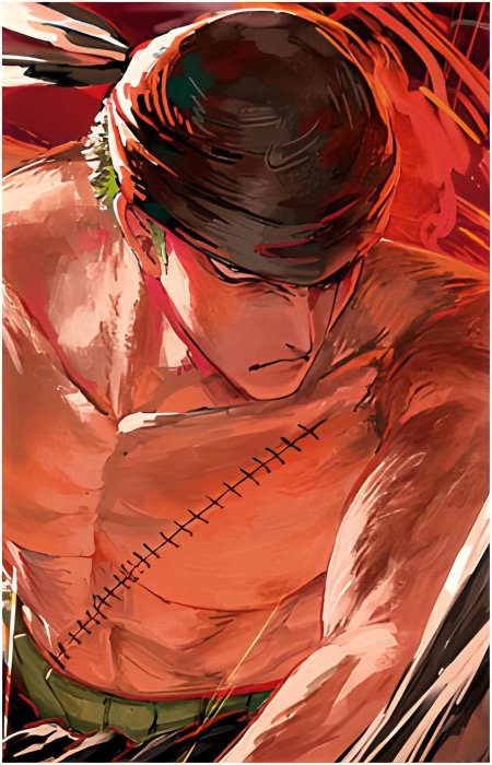 One piece roronoa zoro
