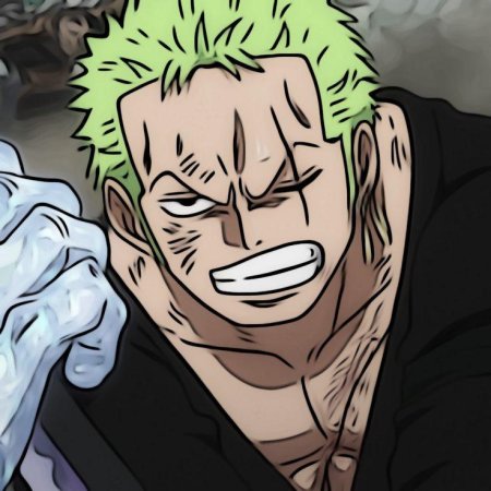 One piece roronoa zoro